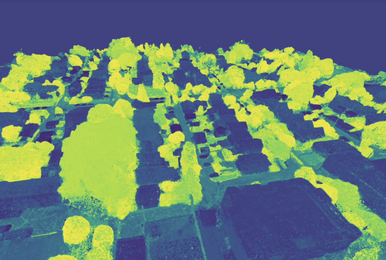 ツリーチャンネルの画像